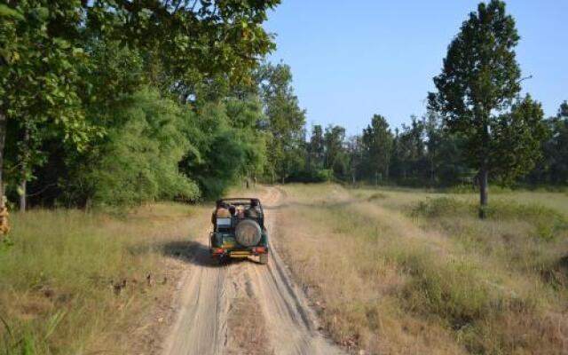 Bandhavgarh 365