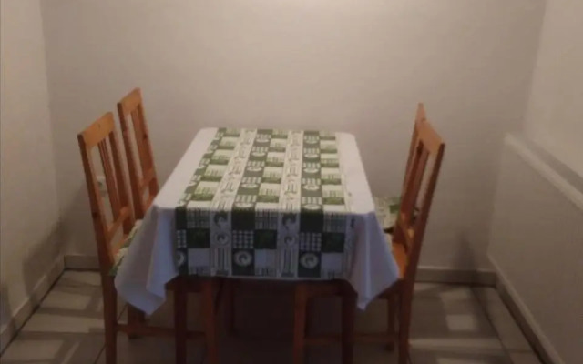 Dvůr v Borovné