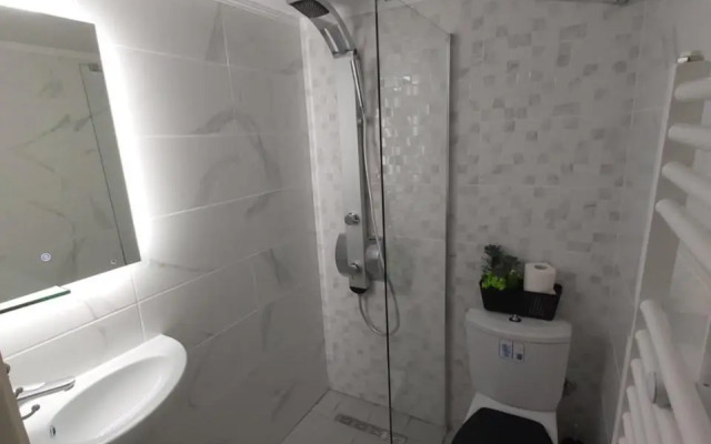 Lux apartment downtown
