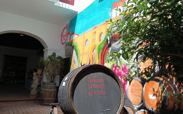 Apartamentos Patio de Santa María