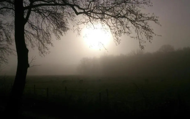 Bed & Breakfast Glimmen