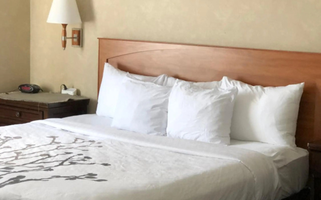 Sleep Inn & Suites Conference Center and Water Park