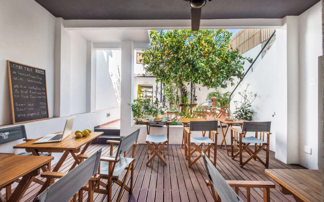 Lemon Tree Stay