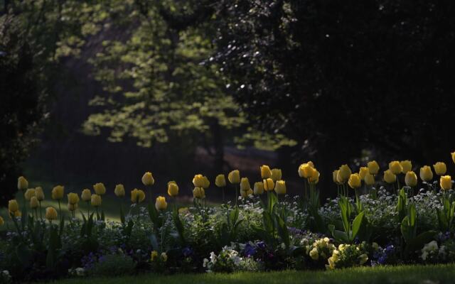 les Suites de Catherine, la 35