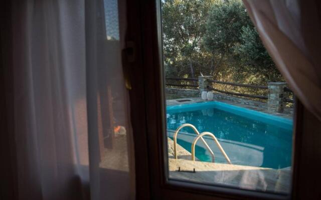 2AG252-House with a pool in Andros
