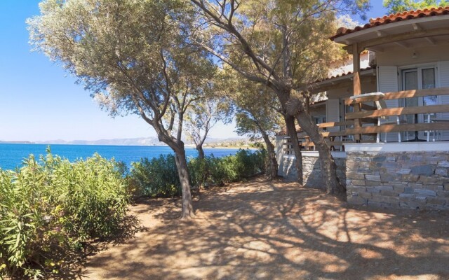 Venus Beach Hotel