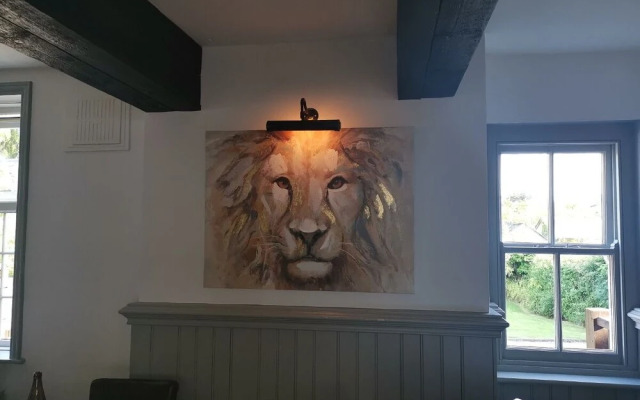 The Lazy Lion