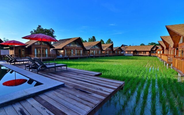Rice Farm Villa