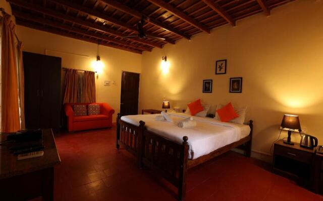 Avadale Coorg Stag - Groups Not Allowed