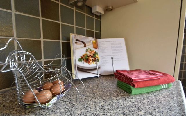 Spacious Mansion With Meadow View in Bruinisse