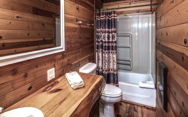 Three Bears by Vtrips