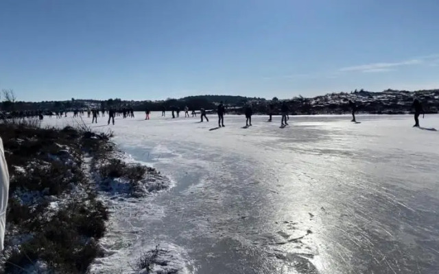 Eureka Vakantiehuisjes