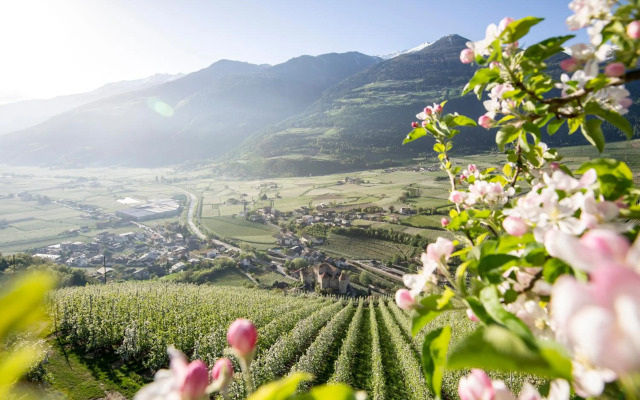 Lindenhof Lifestyle DolceVita Resort
