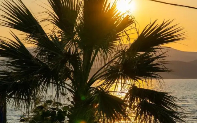 suite apartment Sun Rise Αdonis