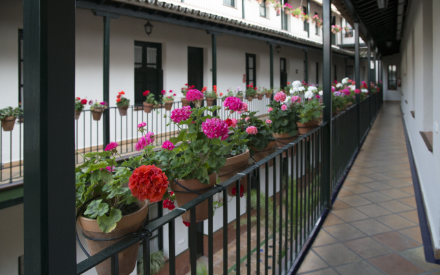 Patio De La Cartuja