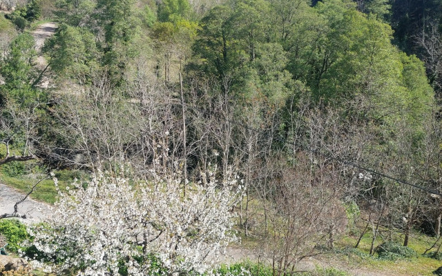 Puente Canto de Gredos
