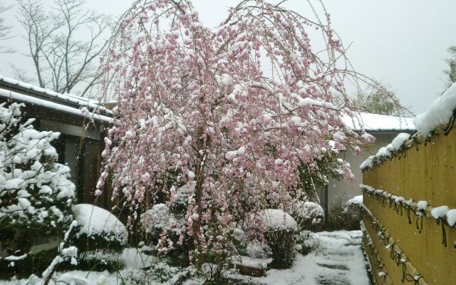 Fuji-Hakone Guest House