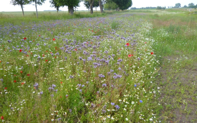 Landhaus 4 Jahreszeiten