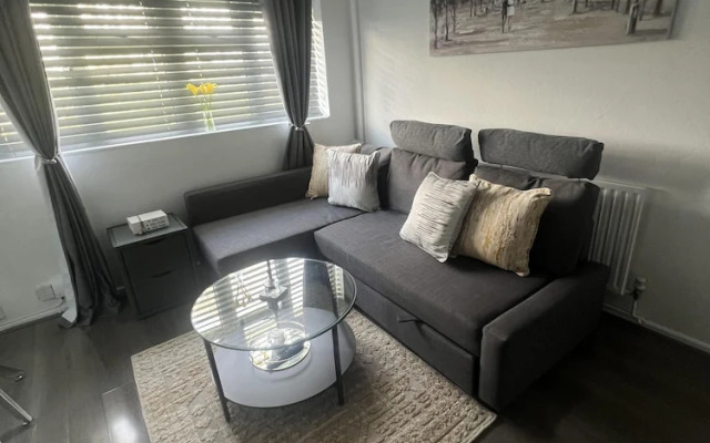 Serene Escape Cosy Apartment in Wolverhampton