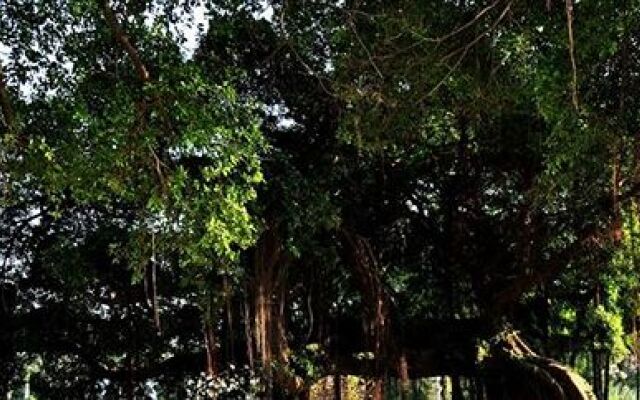 Zhongdeji Villa Hotel - Xiamen