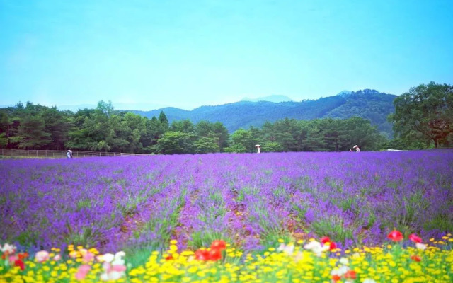 Menard Aoyama Resort Hotel Schönvert