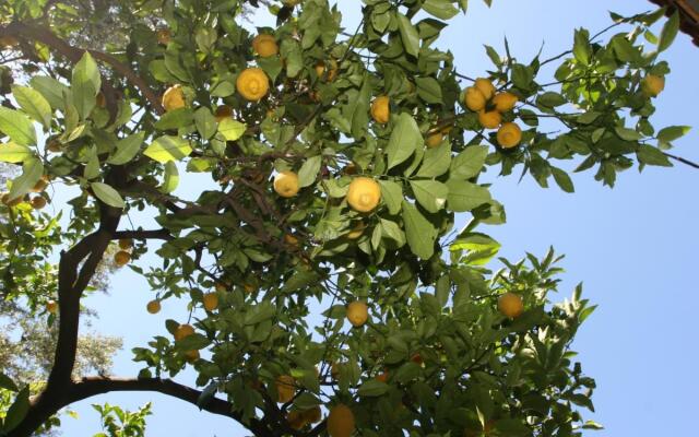 Casarufolo Paradise