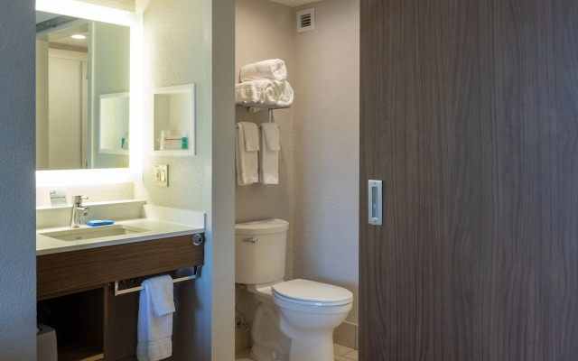 Holiday Inn Express New Orleans Downtown by IHG