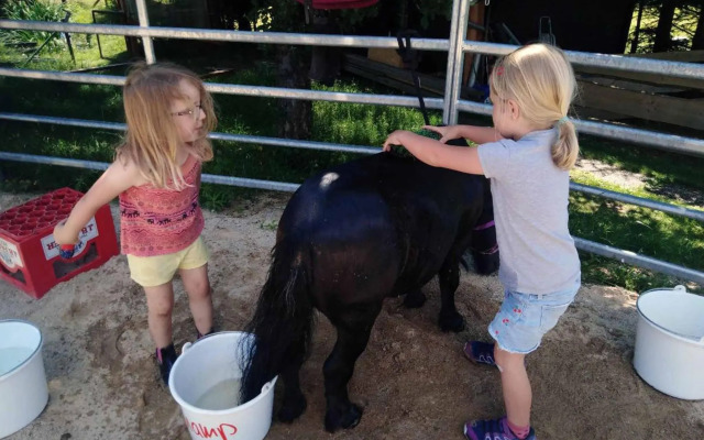 Erlebnisbauernhof Sternhof