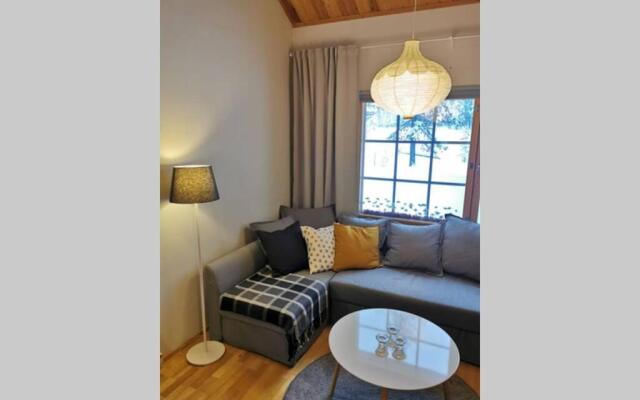 Gold Legend Paukkula#2 - Saariselkä Apartments