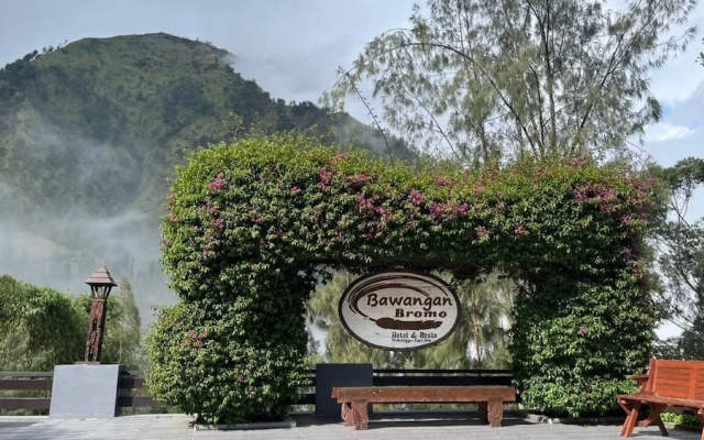 Bawangan Bromo