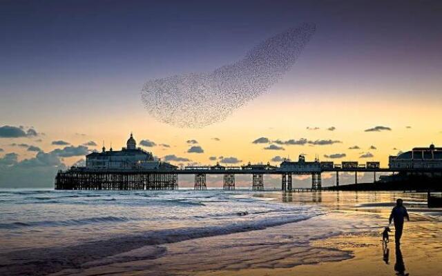 Eastbourne Town centre Maisonette apartment