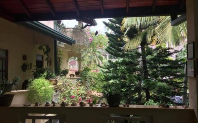 Palm grove