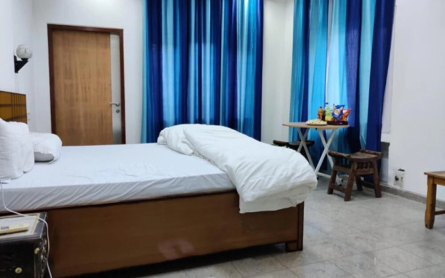 A sleepy Fox - Hostel