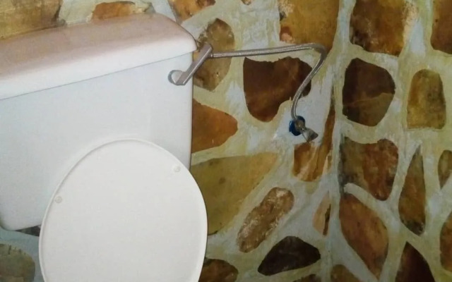 Songbird safari lodge