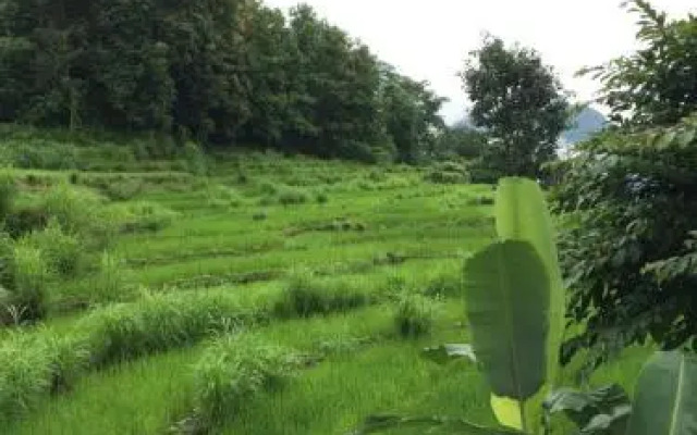 PaliGhar Farmstay
