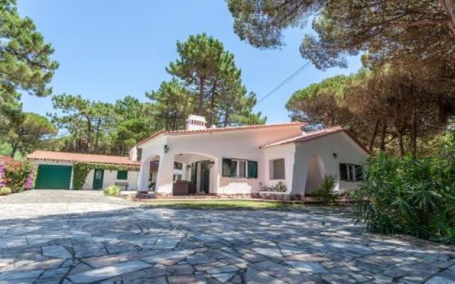 Ocean, Pines and Mountain