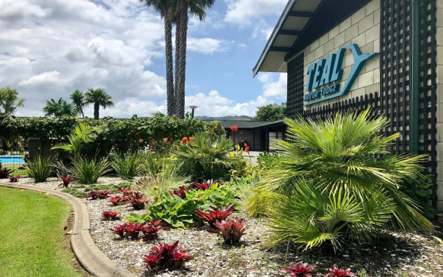 Teal Motor Lodge