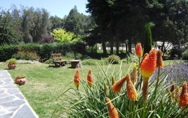 Appart Cabañas Villa San Ignacio