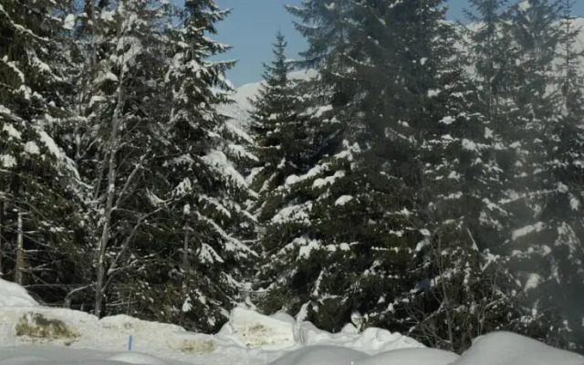 Chalet Le Petit Lapin