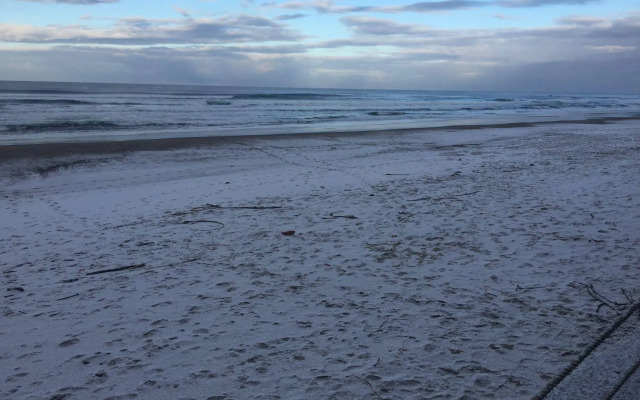 Sandcastle Beachfront Motel