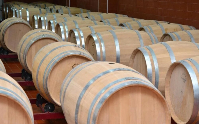 Shato hotel Trendafiloff