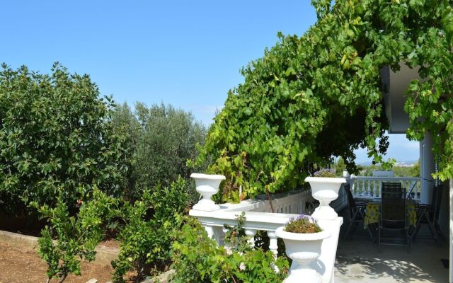 Apartment Ante 500 / Three Bedrooms A1