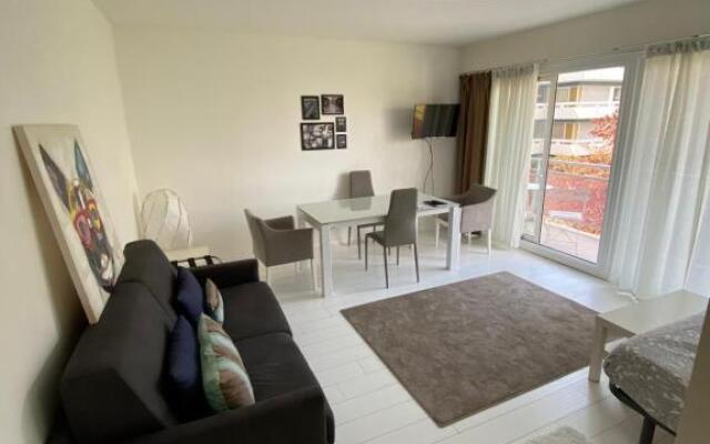 High class Apartment Paris 15