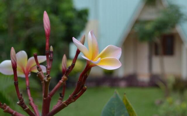 Touch Star Resort Doi Inthanon