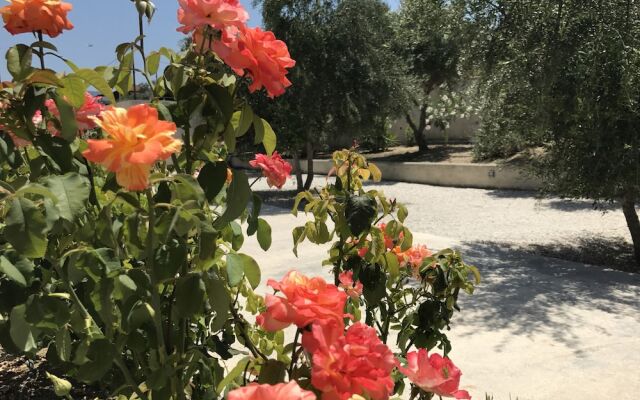 Ananda Bed & Breakfast