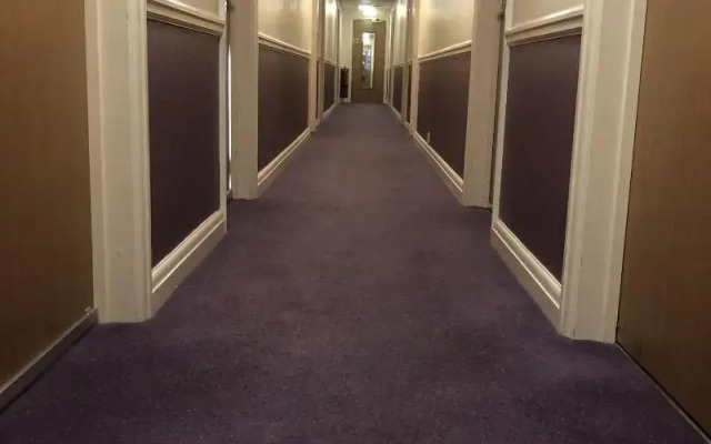 Purple Roomz