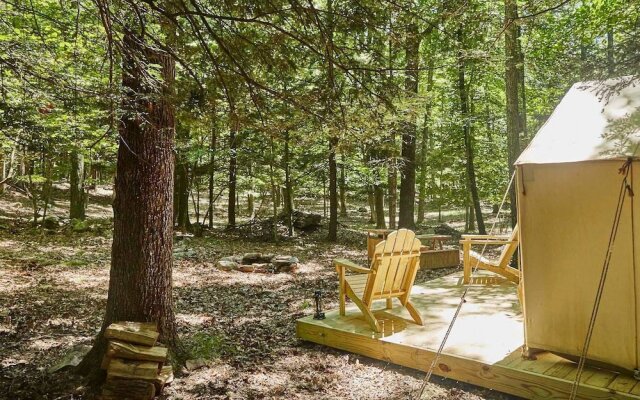 Tentrr - Little Bear