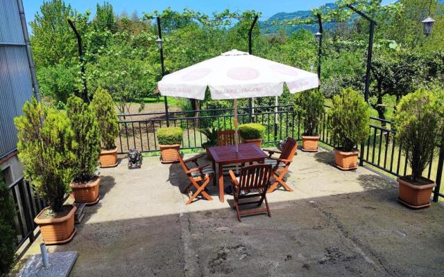 Hotel Botanica