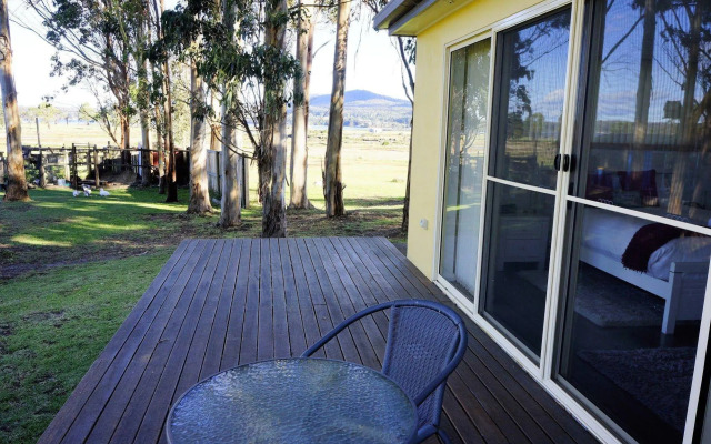 Pelican Point Tasmania