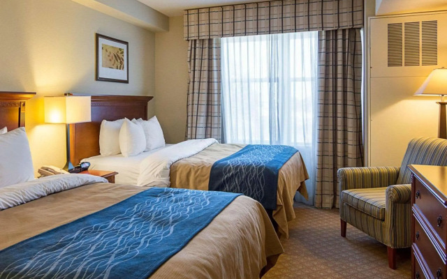 Comfort Inn & Suites Virginia Beach - Norfolk Airport